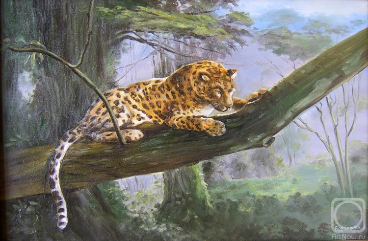 �������. �������� �������. �� �����