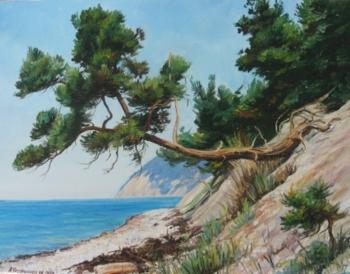 Pine by the sea. Chernyshev Andrei