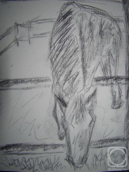 Kalmykova Olga. Untitled