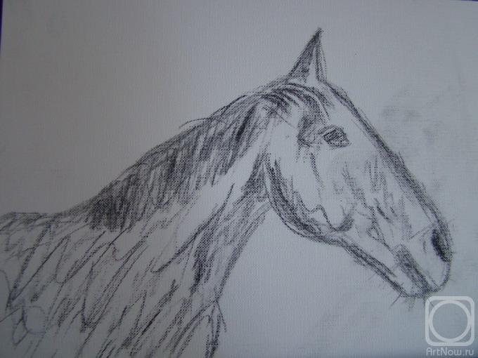 Kalmykova Olga. Untitled