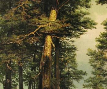 �������� ����� ������� ��������. �������� ������