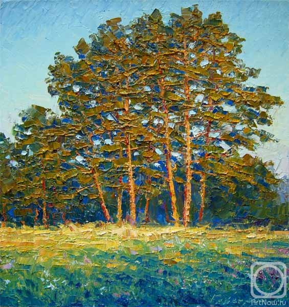 Gaiderov Michail. Pine trees in the evening rays (etude)