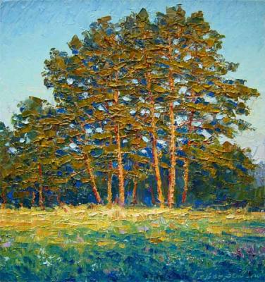 Pine trees in the evening rays (etude). Gaiderov Michail
