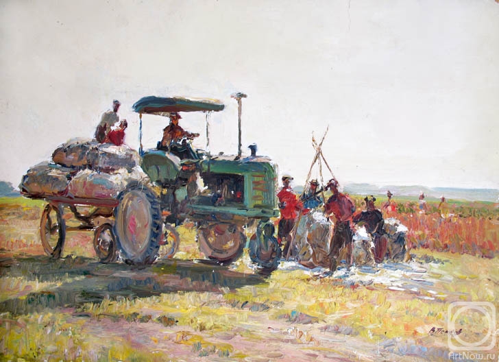 Petrov Vladimir. Weighing of harvested cotton at the Bayaut state farm
