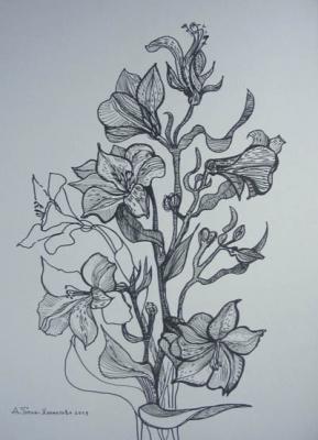 ������� ��������������