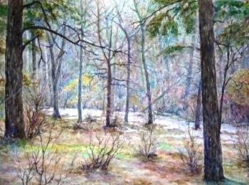 ������� ���������� ����