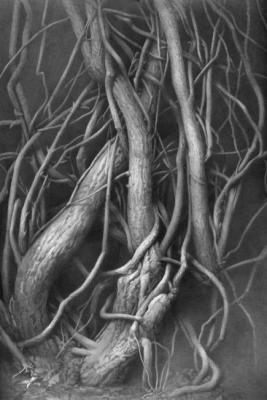 Roots (). Chernov Denis