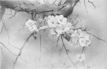 ������� ��������� �������