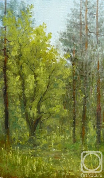 ������� ������ �� ������. ������� �������. ������ ����