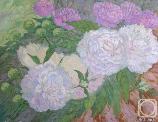 ������� ������ �� ������. ������� �������. ����� �����