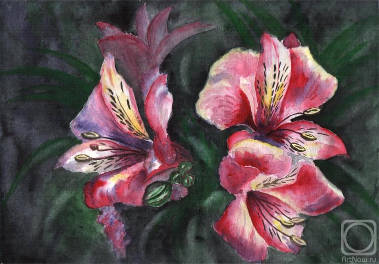 �������. ������ ������. �����