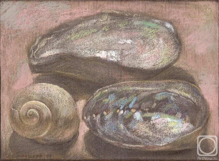 Simashova Olga. Sea shells