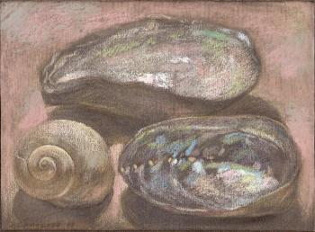 Sea shells. Simashova Olga