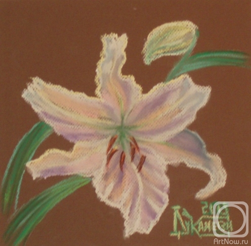 �������. �������� ������. Casa Blanca