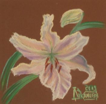 ������� �Casa Blanca�