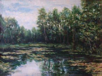 Overgrown pond. Tichenko Ludmila