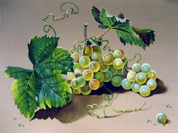Grape branch. Belova Asya