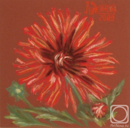 �������. �������� ������. Orfeo