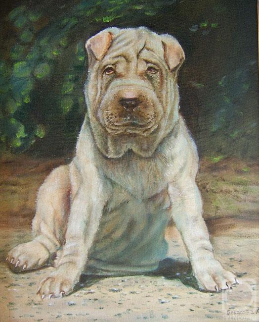 �������. �������� �������. �����