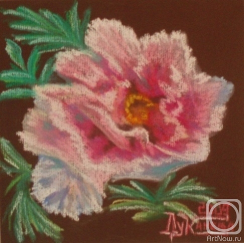 �������. �������� ������. ���� �����������