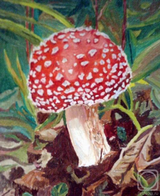 ������� ������ �� ������. �������� ������. ����������