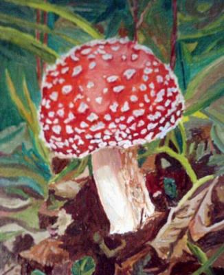 poisonous mushroom. Nesteroff Andrey
