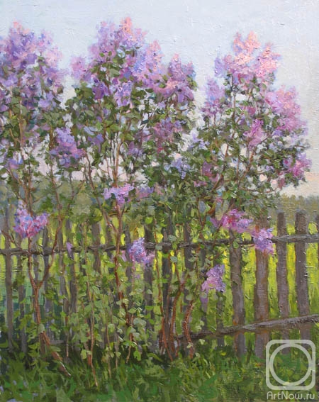 �������. �������� ��������. ������