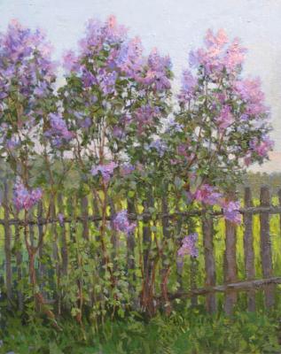 ������� ��������