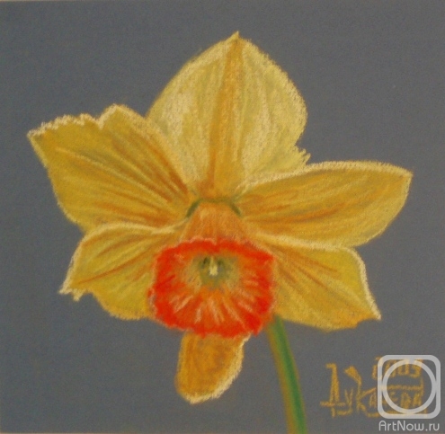 �������. �������� ������. ��������� � ����