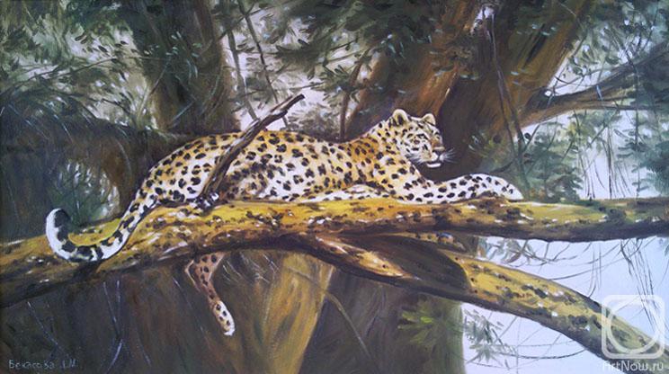 �������. �������� �������. ������� �����