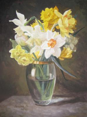 Spring Daffodils 1