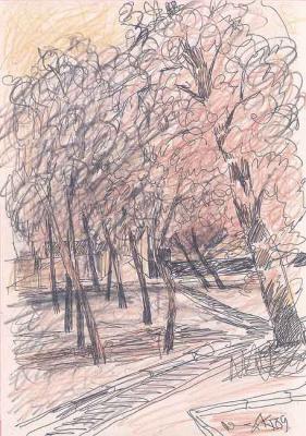 ������� ��������� ����