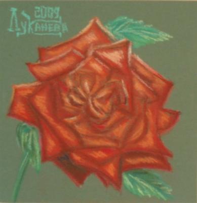 �������� ������ �����������. Sophia Loren