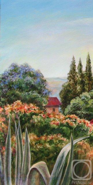 �������. ������ ����. � ����