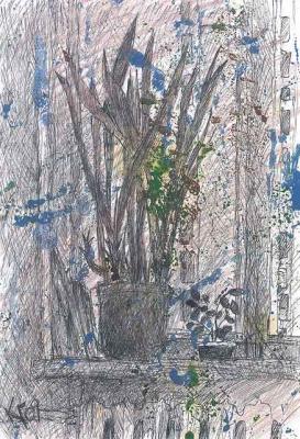 ������� ������ �����