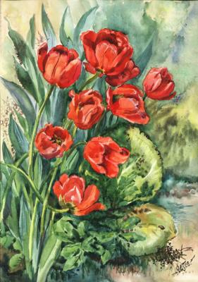 Red tulips. Green Irina