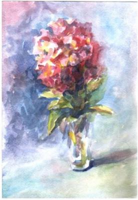 ������� ���� ���������