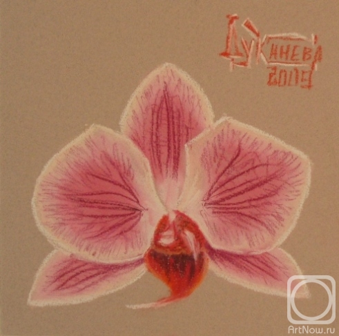 Lukaneva Larissa. Pink Orchid
