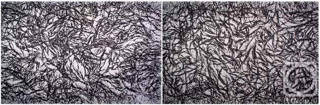 �������. ������ ����. ������ OF-A323