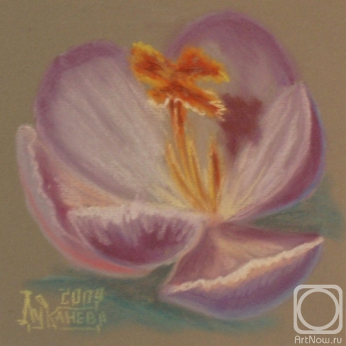 �������. �������� ������. ���������� ������