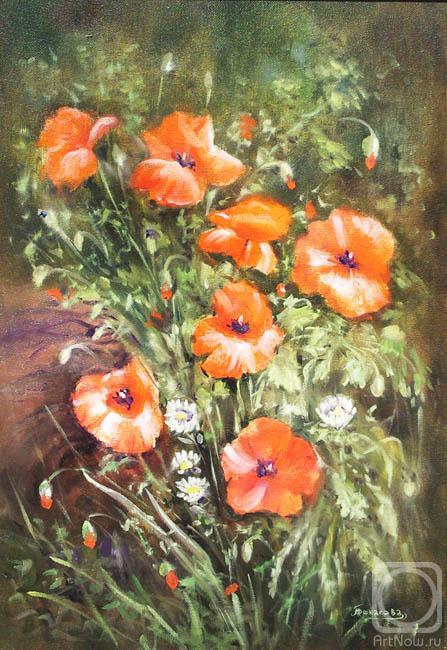 �������. �������� �������. ����