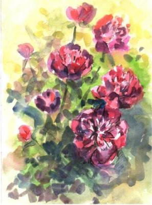 ������� ���� ���������