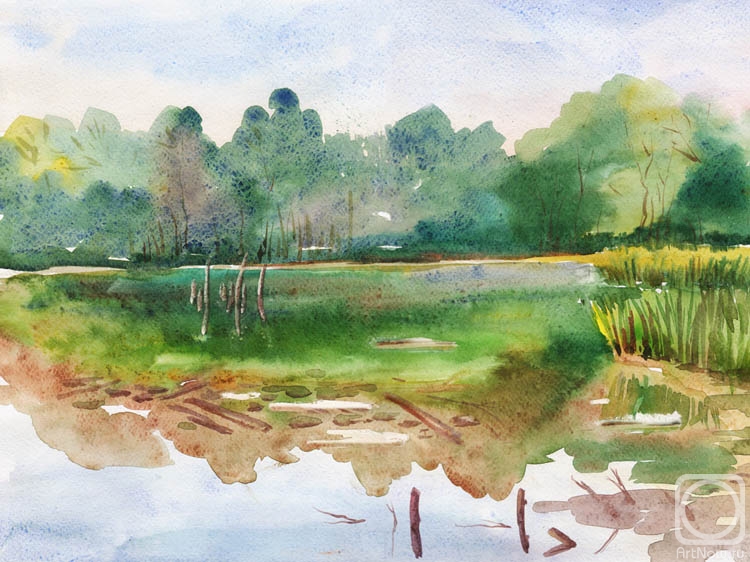 �������. �������� ������. ����� �������. ������