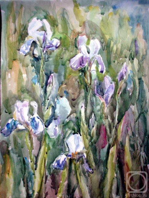 Kruppa Natalia. Irises of delicate color