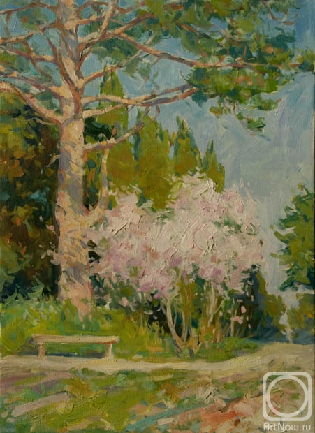 Gilgur Vlad. Pine and flowering almonds