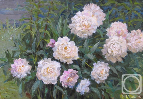 ������� ������ �� ������. �������� ��������. �����