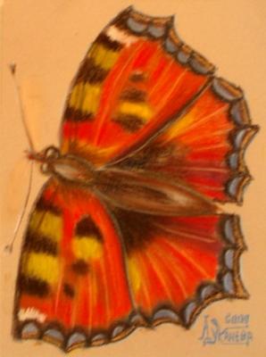 Butterfly. Lukaneva Larissa