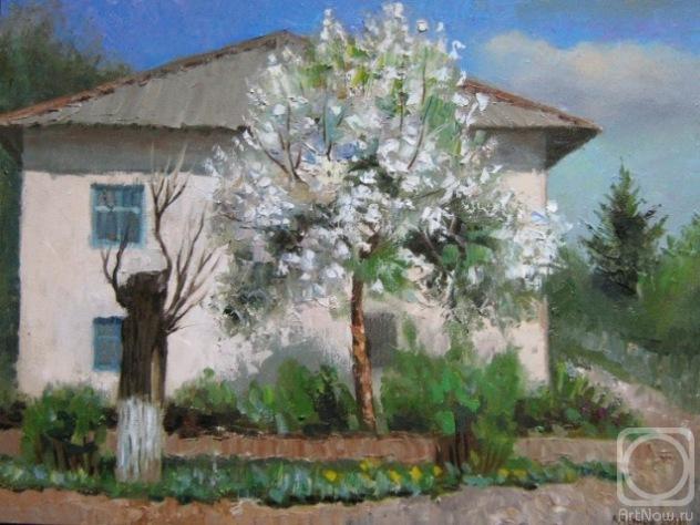 ������� ������ �� ������. ������ ���������. ������ ������