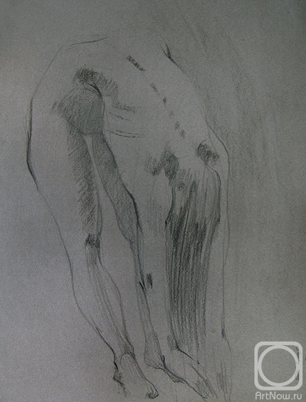 �������. ���� �����. ���������