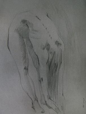 ������� ����������